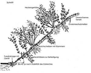 Erosionsschutz Schnitt Aufbau