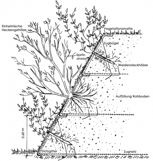 Stützgitter System Zeichnung mit Heckengehölz